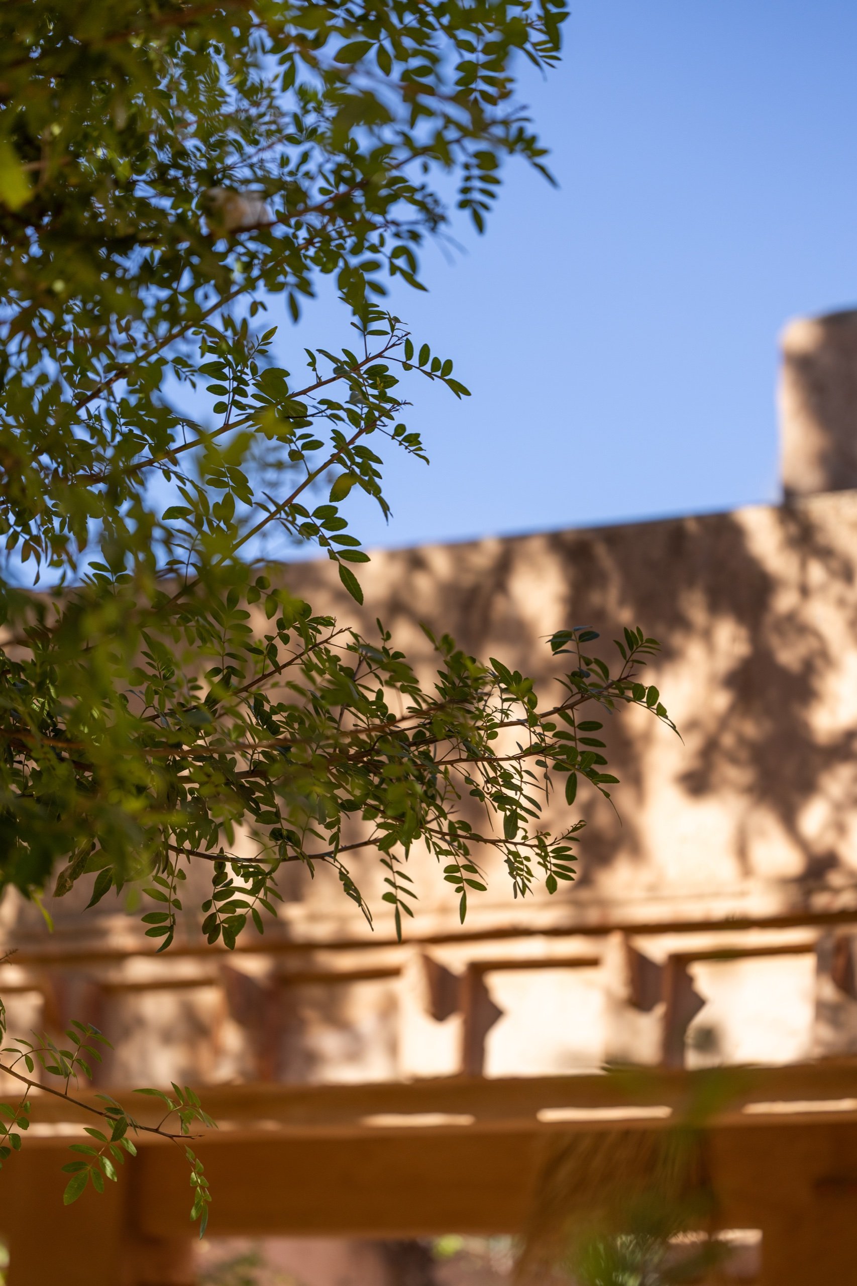 Villa Al Assala